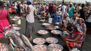 Best Local Markets in Western Region