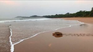 Tourist Attractions in Western Region Ghana